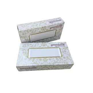 Workstuff_Housekeeping_CleaningTools-Facial-Tissue-Box-100-Pull