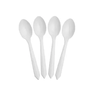 Workstuff_PantrySupplies_Disposable-Plate-Spoon--100-Nos